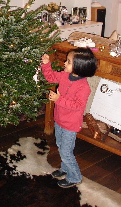 6 Dec Christmas tree.jpg
